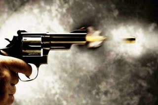 Udaipur news, Husband shot his wife