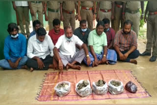 13 கிலோ ஆம்பர் கிரீஸ், ஆம்பர் கிரீஸ், ambergris, chengalpattu, 13 kg ambergris, rupees 13 crore worth ambergris