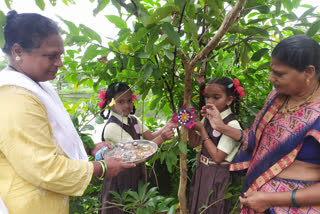 Rakhis tied to trees