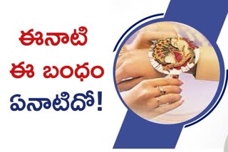 raksha bandhan celebrations in india