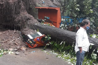 Tree fell on mini truck in Talland Shimla, टालैंड शिमला में मिनी ट्रक पर गिरा पेड़