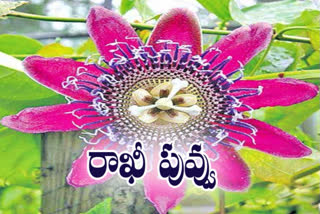 Rakhi Flower