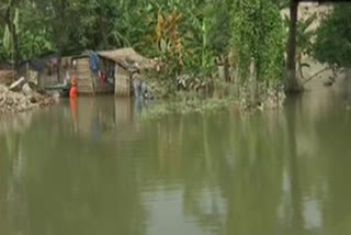 Bihar: Floods leave people displaced in Hajipur, damage crops in Saran