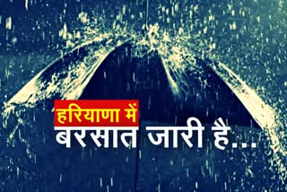 haryana weather update heavy rainfall in haryana