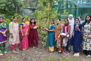 खोपोली येथील भगिनींनी बांधल्या झाडाला राख्या,सामाजिक जाणिवेचा दिला संदेश