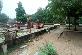 सोरसन माता मंदिर, Sorsan Mata Temple