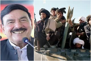 टीटीपीला अफगाण भूमीचा वापर करू न देण्याचे तालिबानचे आश्वासन; पाकचा दावा