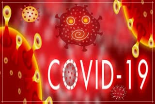 COVID-19 cases