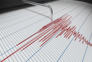 Earthquake of magnitude 4 hits Assam's Kokrajhar