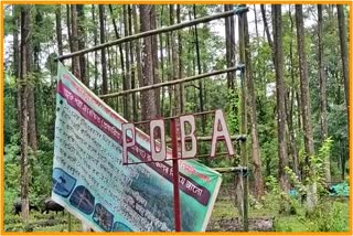 save paba Reserve Forest