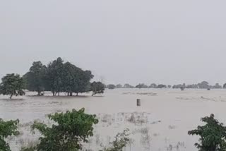 Broken dam in Isuapur Block of Saran