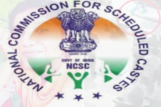 national sc commission