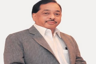 Narayan Rane