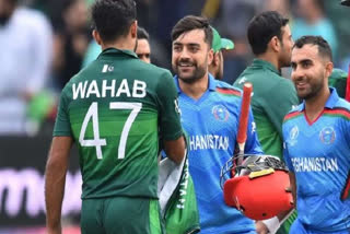 Afghanistan-Pakistan ODI series postponed due to 'disruption of flight operations in Kabul'