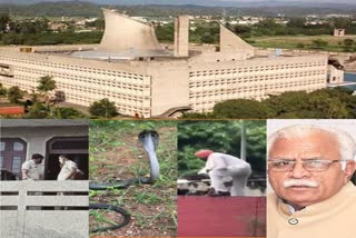 five-big-news-haryana-24-august-2021