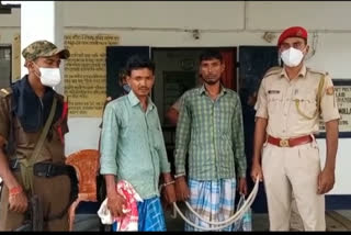 Cattle thief arrested in Goalpara