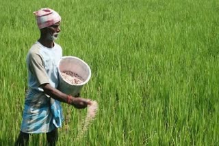 how-mp-done-farmers-income-will-be-double