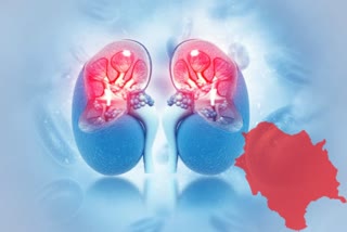 kidney failures in Himachal