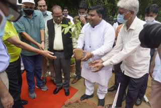 environmemt minister planted amlatas tree in jamiya hamdard university