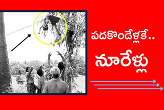 మేకలకు మేత కోసం చెట్టెక్కిన బాలుడు విద్యుదాఘాతంతో మృతి