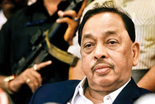 Union Minister Narayan Rane was granted bail