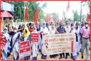 asha karmi protest at Hojai