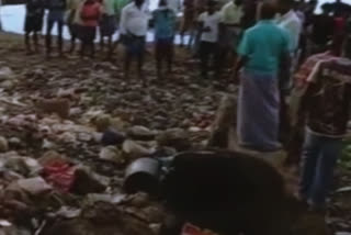 human-heads-in-the-trash-in-thanjavur