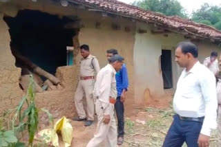 Terror of elephants in Koriya 3 houses destroyed and 7 farmers crops ruined