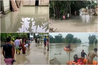 several-area-of-manikpur-submerged-in-flood-water-of-aai-river-etv-bharat
