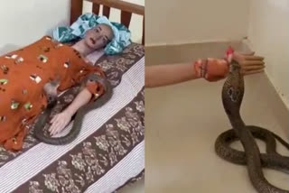 Uthra murder case: Video footage of dummy test with snake out