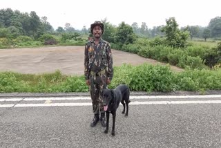 Dog Special Team has recovered more than 200 Spice Whole IDs so far in Naxalgarh