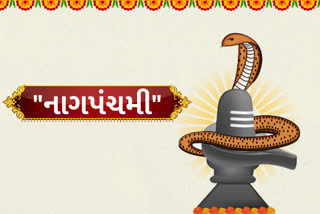 નાગપંચમીના દિવસે નાગની પુજા કરવાથી મળે છે આ ફળ