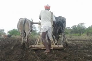 How much sowing work is done in the monsoon, Karnataka