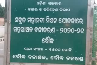 ଗ୍ରୀନ ମହାନଦୀ ମିଶନରେ ଅନିୟମିତତା ଅଭିଯୋଗ