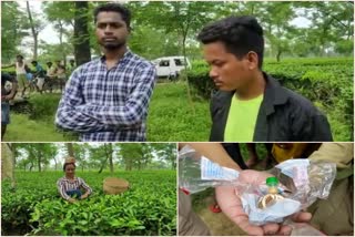 tea-workers-detain-two-drug-users-in-thaora-tea-garden-etv-bharat-assam-news