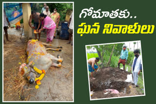 Funeral for Cow