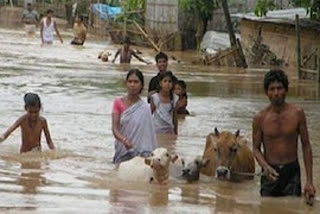 Seven districts of Assam affected by flood