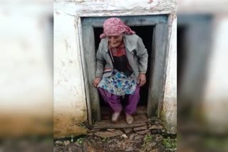 elderly-woman-hide-in-cowshed-for-fear-of-corona-vaccine-in-karsog