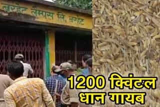 1200-quintal-paddy-disappeared-from-barhait-lamps-in-sahibganj