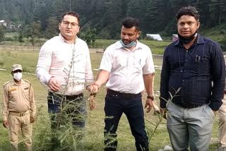 Kishtwar: Forest Conservator inspects trees