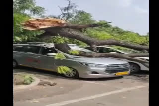 7-vehicles-damaged-due-to-neem-tree-falling-in-delhi-red-fort-parking-area