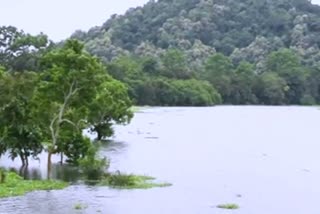 kaziranga-national-park-under-flood