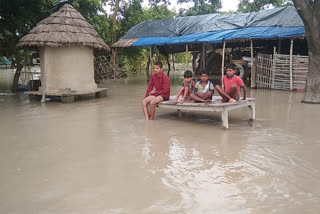 गोपालगंज में बाढ़