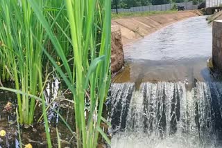 Only potable water in the four reservoirs of Water City