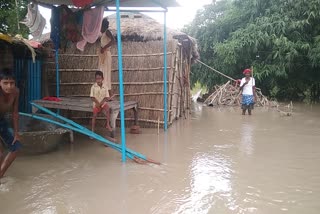 गोपालगंज में फिर मंडराने लगा है बाढ़ का खतरा