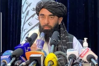 taliban spokesman zabihullah mujahid