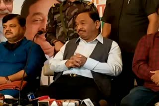 narayan rane