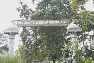 kaziranga-national-park-under-flood