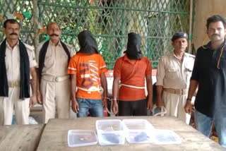पटनासिटी से पांच गिरफ्तार