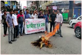 protest Against big dam